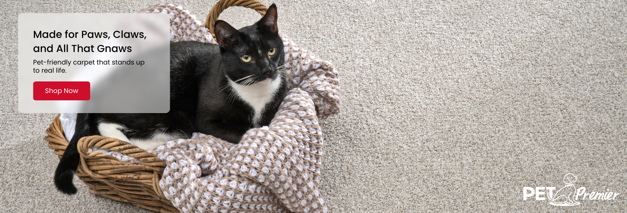 Mohawk PETPremier Carpet Promotion